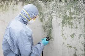 Best Mold Remediation for Rental Properties  in Lapwai, ID